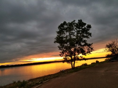 A serene sunset over a lake, with a silhouetted tree in the foreground and dramatic clouds in the sky.