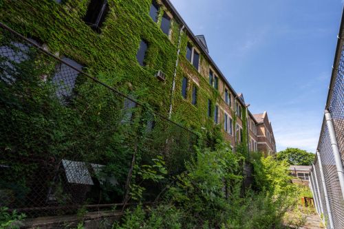 Overgrown building covered in green ivy, with a clear blue sky in the background and a chain-link fence in the foreground.