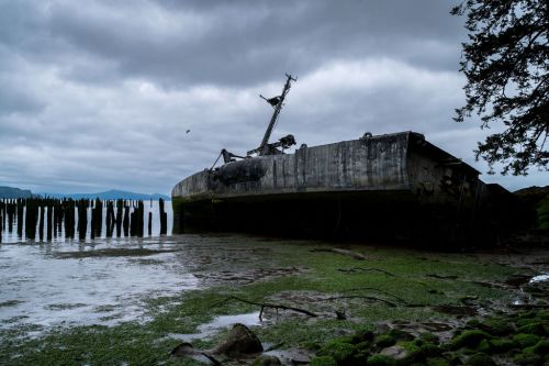 A weathered shipwreck rests on a muddy shore, surrounded by old pilings and a cloudy sky.