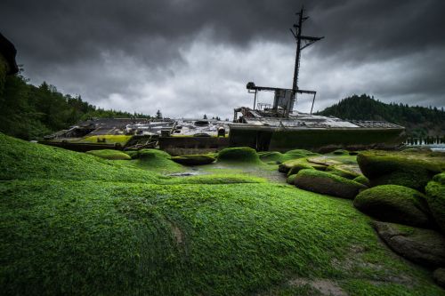 A derelict ship rests on green mossy rocks under a cloudy sky, surrounded by dense forest.