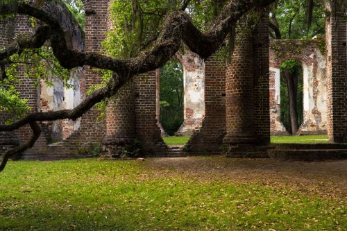 Ruins of brick columns surrounded by greenery, with a large tree branch arching overhead.