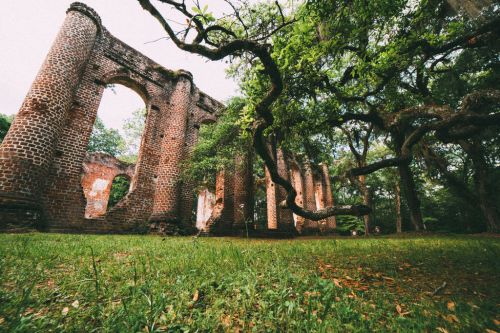 Ruins of a brick structure surrounded by lush greenery and twisted trees, creating a serene, historical atmosphere.