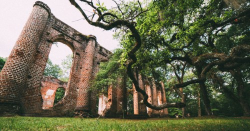 Ruins of a brick structure surrounded by lush greenery and twisted trees, evoking a sense of history and nature.