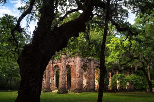 Ruins of a brick structure surrounded by lush greenery and trees, with moss hanging from branches.