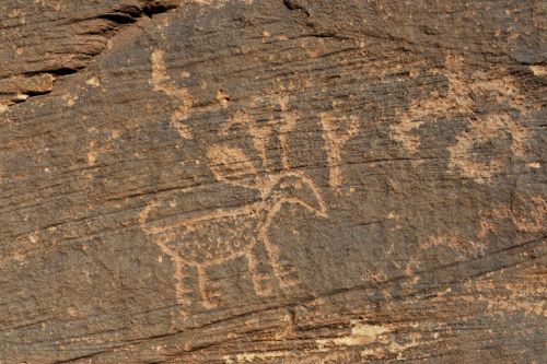 Petroglyph of a goat etched into a rocky surface, showcasing ancient artistic expression.