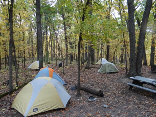 A serene campsite in a forest with colorful autumn leaves, featuring several tents and a picnic table.