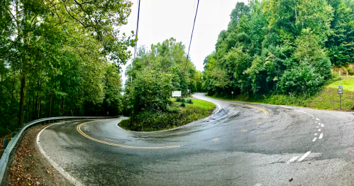 A winding road curves through a lush green landscape after rain, with trees lining both sides.
