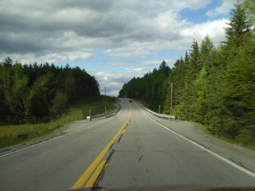 A winding road stretches through lush green trees under a cloudy sky.