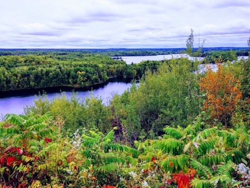 A scenic view of lush green trees and a winding river under a cloudy sky, with hints of autumn colors.