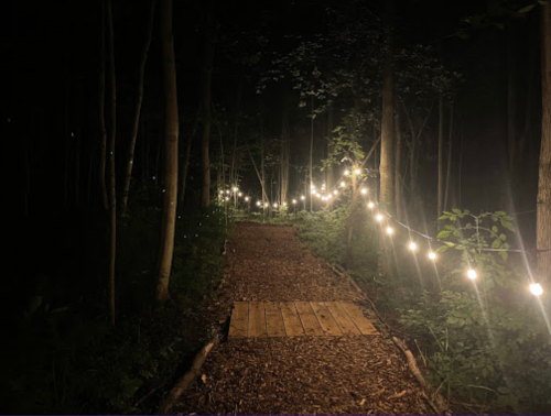 A dimly lit forest path lined with string lights, surrounded by trees and greenery at night.