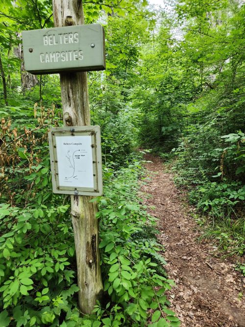 A wooden sign marks the entrance to Belter's Campsites, surrounded by lush greenery and a dirt path leading into the woods.