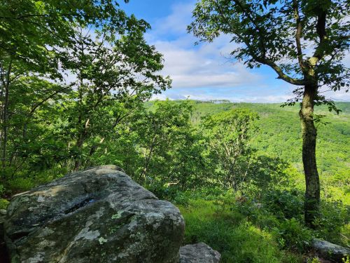A scenic view of lush green hills and trees under a blue sky, with a large rock in the foreground.