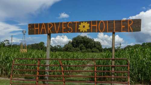 A wooden sign reading "Harvest Holler" stands at the entrance of a lush green field under a blue sky with clouds.