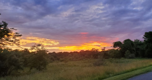 A vibrant sunset over a grassy field, with colorful clouds and trees silhouetted against the sky.