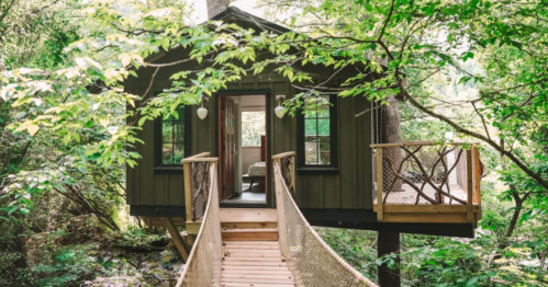 A charming treehouse nestled in greenery, connected by a wooden walkway with a cozy interior visible through the windows.