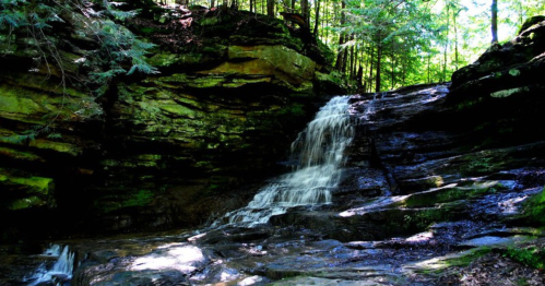 A serene waterfall cascading over moss-covered rocks in a lush green forest. Sunlight filters through the trees.