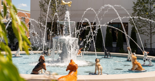 A fountain featuring playful dog sculptures surrounded by water jets in a sunny outdoor setting.