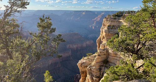 A scenic view of the Grand Canyon, showcasing layered rock formations and lush greenery against a clear blue sky.