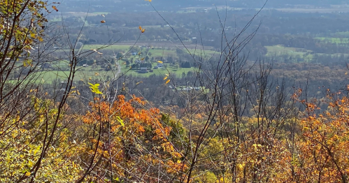 A scenic view of rolling hills and valleys, with autumn foliage in the foreground and a clear blue sky above.