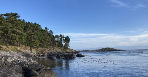 A serene coastal scene with rocky shores, lush trees, and calm waters under a clear blue sky.