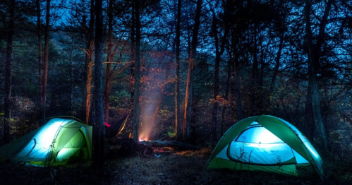 Two green tents illuminated at night, surrounded by trees, with a campfire glowing in the center.