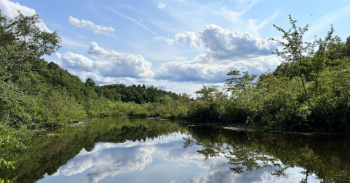 A serene river reflects fluffy clouds and lush greenery under a blue sky.