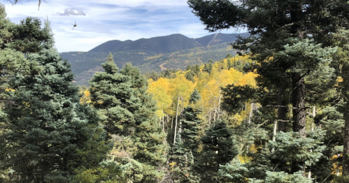 A scenic view of mountains and trees, with vibrant yellow foliage in the foreground against a cloudy sky.