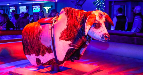 A mechanical bull covered in a cowhide, illuminated by colorful lights in a lively bar setting.