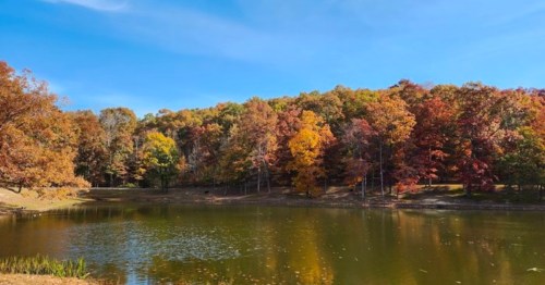 A serene lake surrounded by vibrant autumn foliage under a clear blue sky.