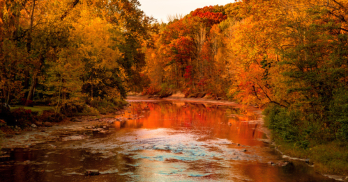 A serene river surrounded by vibrant autumn foliage reflecting warm colors in the water.