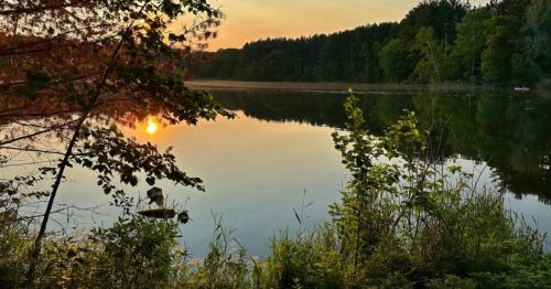 A serene lake at sunset, surrounded by trees and lush greenery, reflecting the warm colors of the sky.