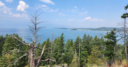 A scenic view of a lake surrounded by lush green trees under a clear blue sky with a few clouds.