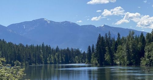 A serene river flows through a lush forest, with mountains in the background under a clear blue sky.