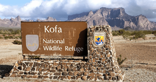 Sign for Kofa National Wildlife Refuge with mountains in the background and a clear blue sky.