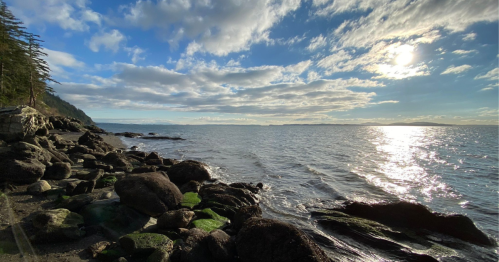 A serene coastal scene with rocky shorelines, gentle waves, and a bright sky reflecting sunlight on the water.