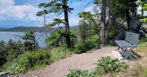 A serene lakeside view with a bench surrounded by trees and greenery under a partly cloudy sky.