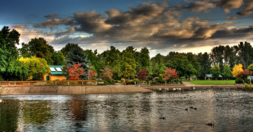 A serene park scene with a calm lake, lush trees, colorful foliage, and a cloudy sky reflecting on the water.
