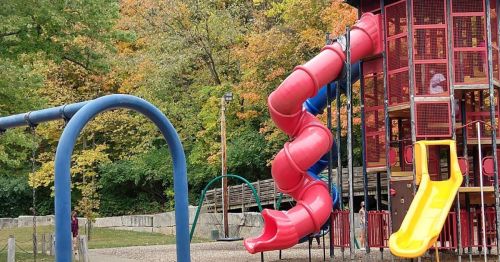 Colorful playground featuring a red slide, yellow slide, swings, and a play structure surrounded by autumn trees.