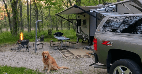 A golden retriever sits near a campsite with a trailer, chairs, and a small fire in a wooded area.
