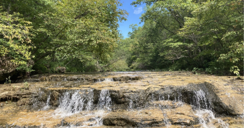 A serene river flows over rocky terrain, surrounded by lush green trees and a clear blue sky.