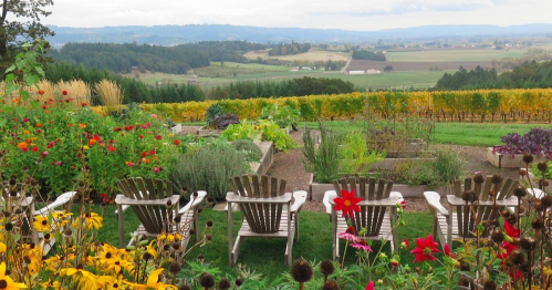 A scenic view of rolling hills and fields, with colorful flowers and wooden chairs in the foreground.