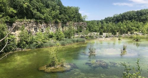 Lush green landscape with a calm, clear pond surrounded by rocky cliffs and small islands of vegetation.