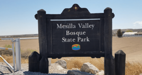 Sign for Mesilla Valley Bosque State Park, featuring a wooden design and colorful logo, set against a clear blue sky.