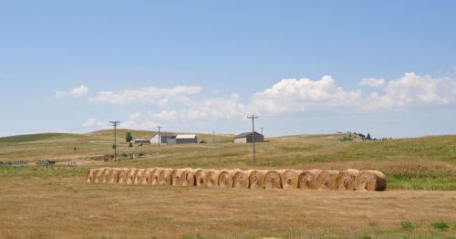 A rural landscape featuring a line of hay bales on a grassy field, with distant hills and a few buildings under a blue sky.