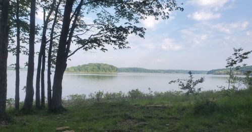 A serene lake view surrounded by trees, with gentle hills in the background under a partly cloudy sky.