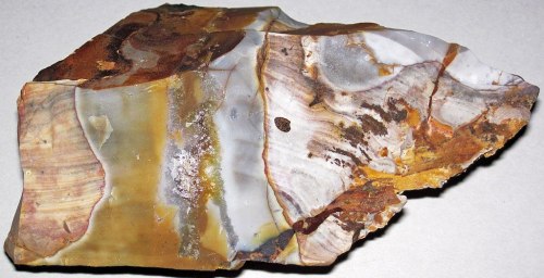 A colorful, polished agate stone with bands of yellow, brown, and white, showcasing its natural patterns and textures.