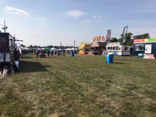 A grassy field with food stalls, tents, and people enjoying a fair or festival under a clear blue sky.