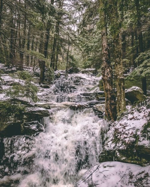 A serene forest scene featuring a cascading waterfall surrounded by lush greenery and rocky terrain.