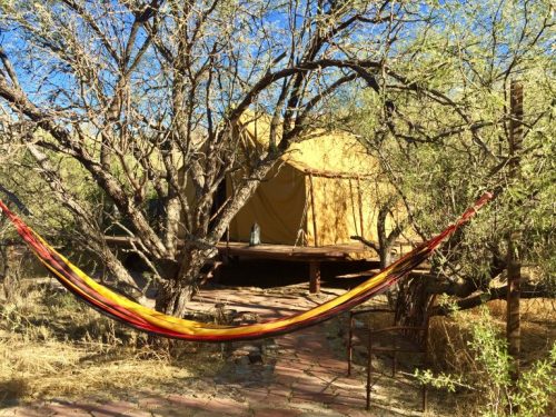 A colorful hammock hangs between trees, with a tent and wooden deck visible in a natural, sunny setting.