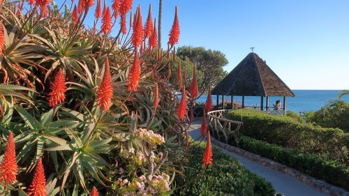 A coastal scene featuring vibrant red flowers, lush greenery, and a gazebo overlooking the ocean.
